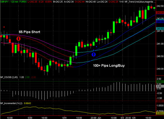 Netpicks ultimate trading system