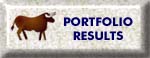 Stocks Options Investor Portfolio Results