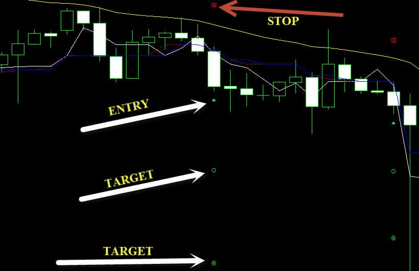 netpicks trading system