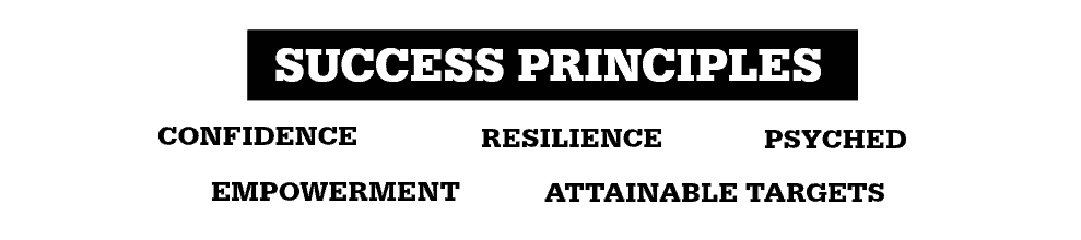 success principles