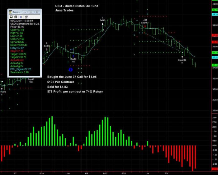 uso option trade