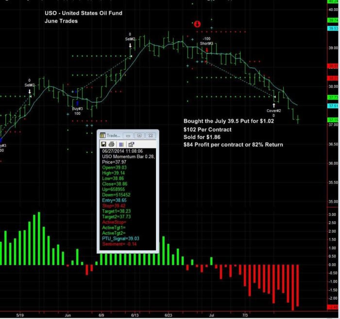 successful options trading uso