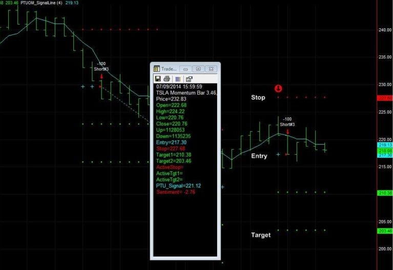 tsla options trade
