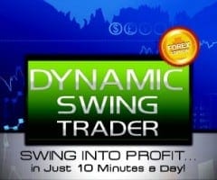 dynamic-swing-trader-small