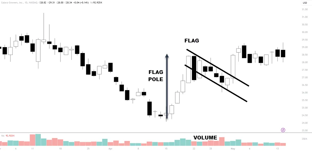 Identifying Bull Flag Patterns