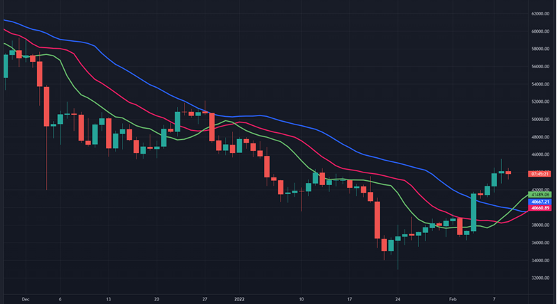 bitcoin alligator indicator