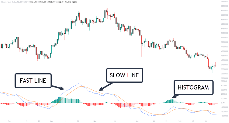 macd on crypto
