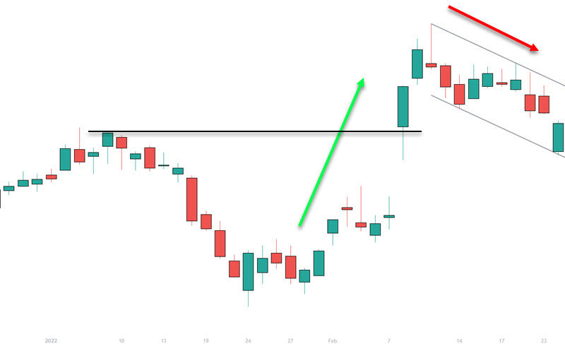 HOG STOCK