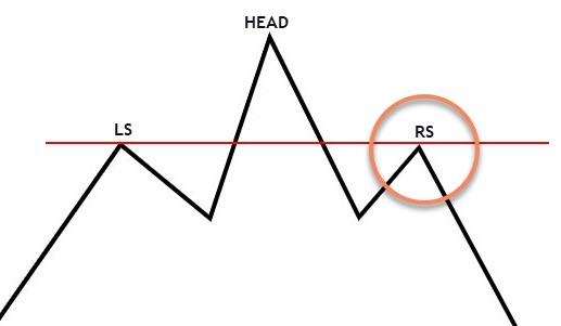 HEAD AND SHOULDERS
