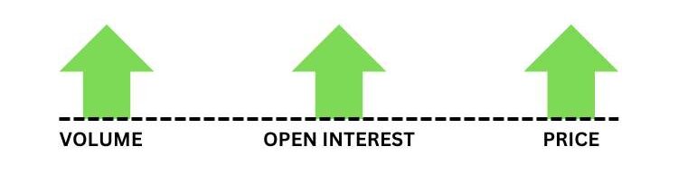 VOLUME OPEN INTEREST