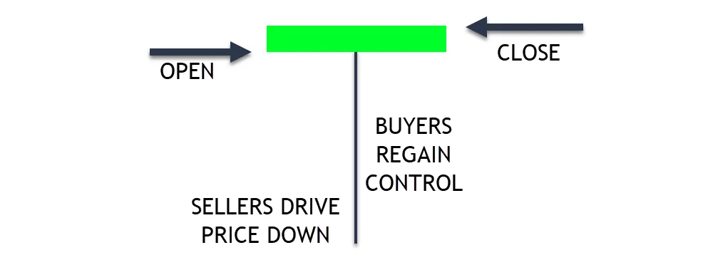 Bullish Reversal Signal
