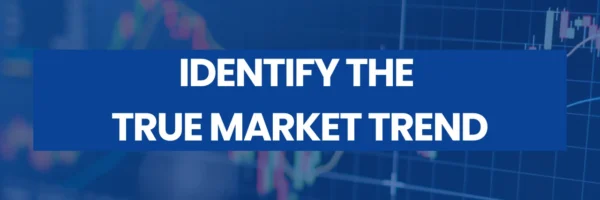 002D62 (2) 002D62 (2)